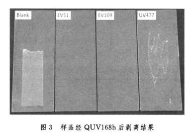 樣品剝離后結果